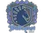 Sticker | Team Liquid | Budapest 2025