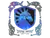 Sticker | Team Liquid (Holo) | Austin 2025