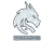 Sticker | Team Spirit (Glitter) | Copenhagen 2024