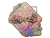 Sticker | torzsi (Holo) | Rio 2022