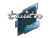 Sticker | Twistzz | Boston 2018