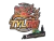 Sticker | Tyloo (Holo) | Stockholm 2021