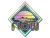 Sticker | Watermelon Flow (Holo)