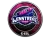 Sticker | Winstrike Team (Foil) | Katowice 2019