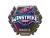 Sticker | Winstrike Team (Holo) | London 2018