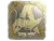 Sticker | woxic (Gold) | Austin 2025