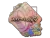 Sticker | xertioN (Holo) | Rio 2022