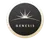 The Genesis Collection
