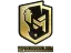 Sticker | PGL (Gold) | Copenhagen 2024
