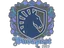Sticker | Team Liquid | Budapest 2025