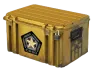 Gamma 2 Case skin