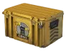 Glove Case