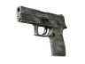 P250 | Facets (Uzată)