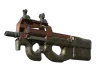 P90 | Ancient Earth (Factory New) skin
