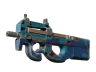 P90 | Blind Spot (Well-Worn)