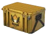 Winter Offensive Weapon Case skin